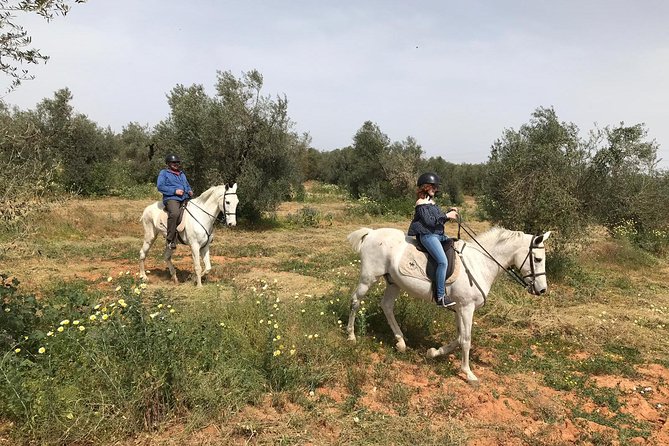 Horse Riding Excursion from Seville - Pickup from Seville and the practical details