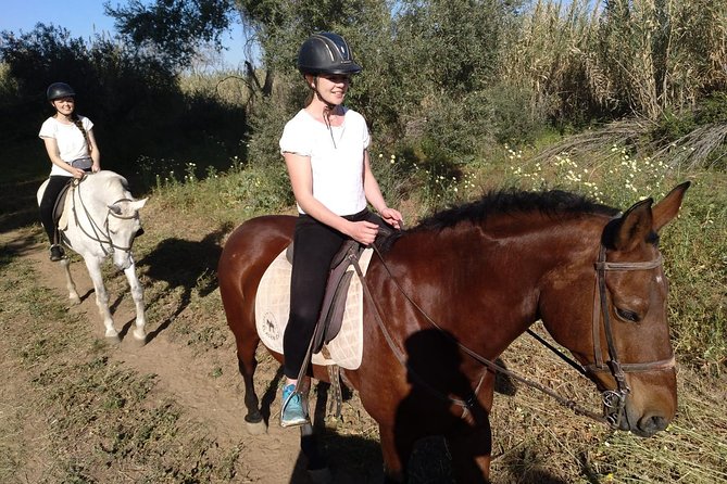 Horse Riding Excursion from Seville - Weather, cancellations, and timing