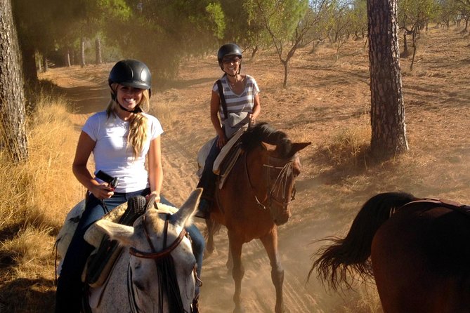 Horse Riding Excursion from Seville - Riding among pine trees, olive groves, and orange trees