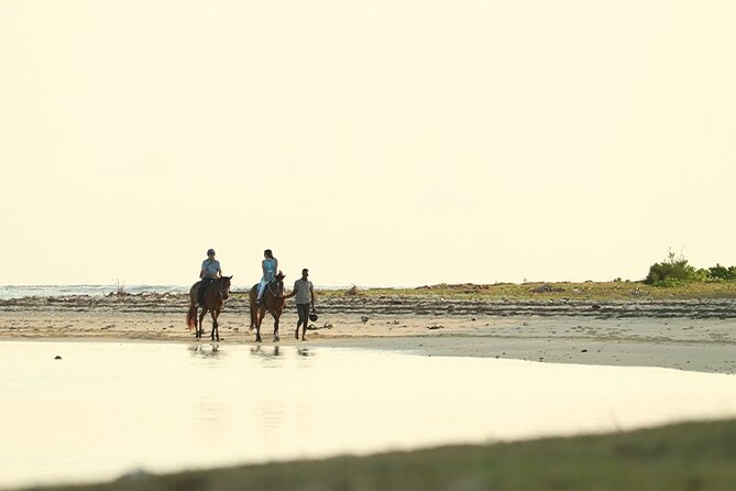 Horse Riding experience by Haras du Morne - Le Morne gives the outing its soul