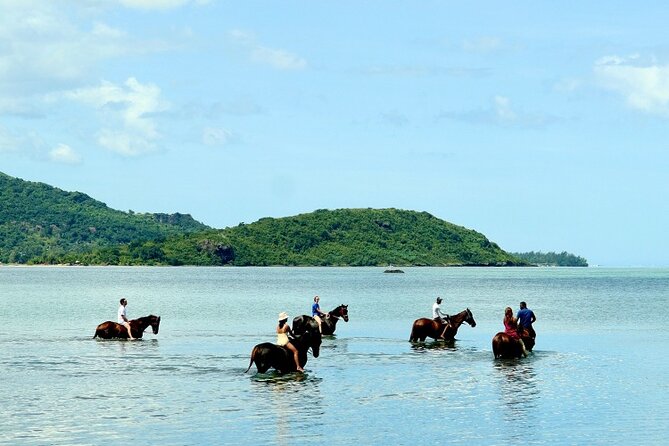 Horse Riding experience by Haras du Morne - Grand Bassin connects scenery with living faith