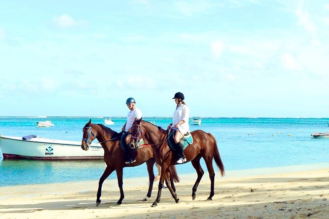 Horse Riding experience by Haras du Morne - Seven Colored Earths brings a strange natural display
