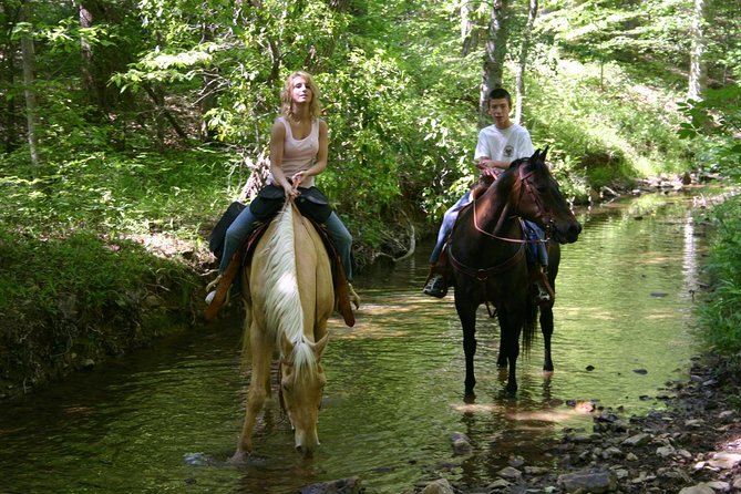 Horse Riding Experience in Marmaris with Transfer - A forest ride with a splash in the river