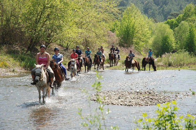 Horse Riding Experience in Marmaris with Transfer - What happens at Pinar Horse Safari