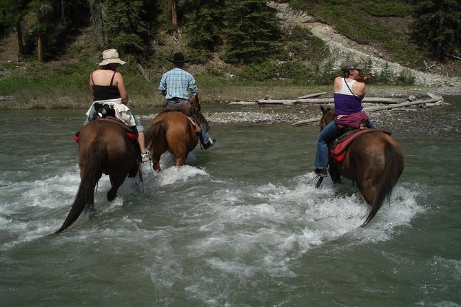 Horse Riding Experience in Marmaris with Transfer - The river crossing is the signature moment