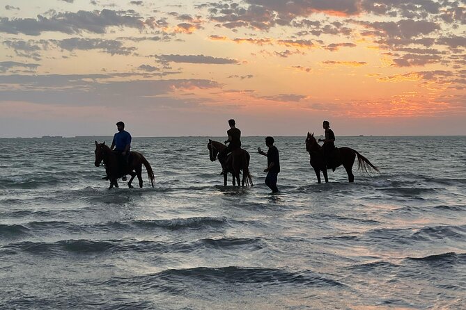 Horse Riding Experience in Riyadh | Tanomah | Jeddah | Al Ula - Riyadh: red sand and open desert