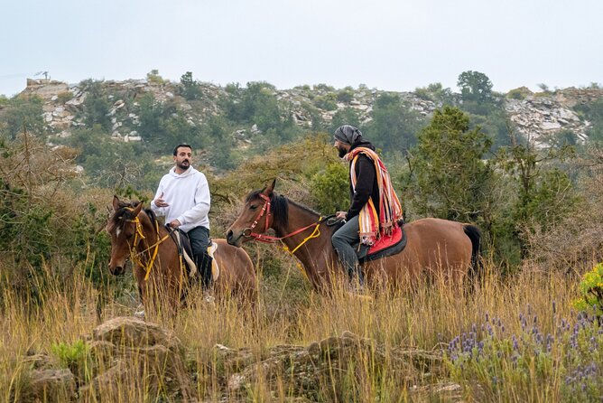 Horse Riding Experience in Riyadh | Tanomah | Jeddah | Al Ula - Tanomah: forests, valleys, and Aseer viewpoints