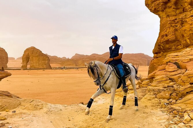 Horse Riding Experience in Riyadh | Tanomah | Jeddah | Al Ula - Is $75 per person good value?