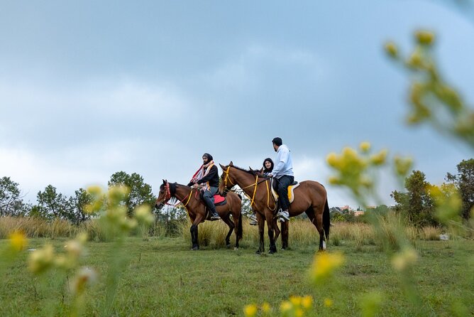 Horse Riding Experience in Riyadh | Tanomah | Jeddah | Al Ula - Booking, cancellation, and practical details