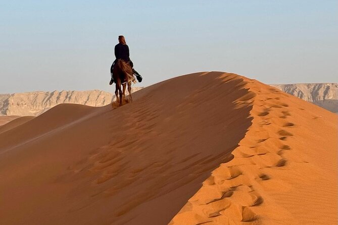 Horse Riding Experience in Riyadh | Tanomah | Jeddah | Al Ula - Jeddah: horseback riding by Khalij Salman Beach