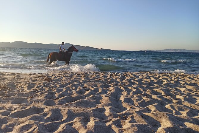 Horse Riding Experience on the Beach with Instructor - Riding past Salt Lake and its flamingos