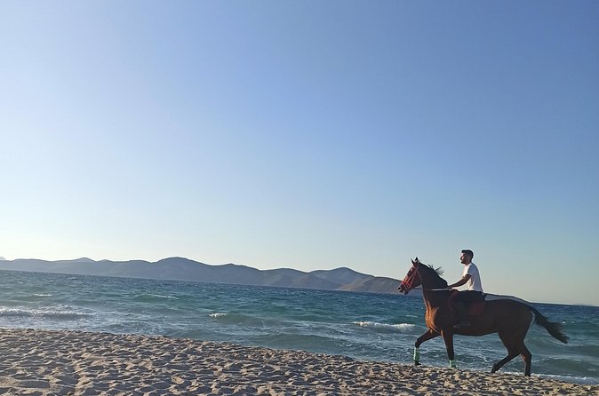 Horse Riding Experience on the Beach with Instructor - Pickup, meeting plans, and group size