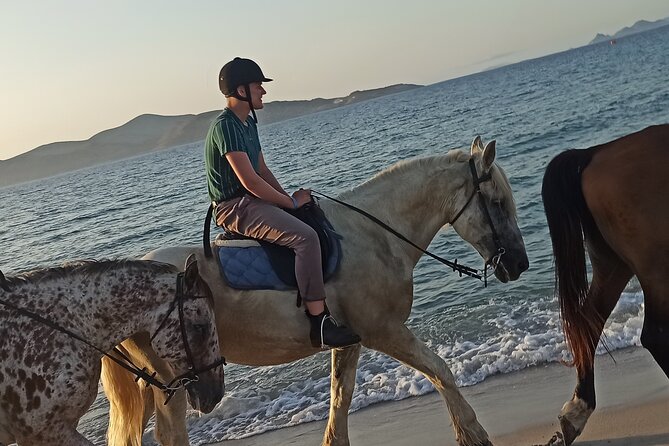 Horse Riding Experience on the Beach with Instructor - Weather, cancellations, and practical planning