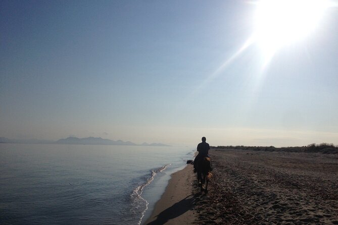 Horse Riding Experience on the Beach with Instructor - Reaching the sandy beach