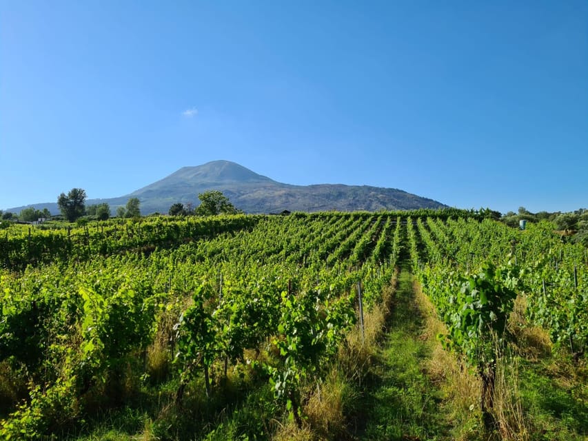 Horse Riding Experience on Vesuvius w/ Wine Tasting - Why this Vesuvius outing works so well