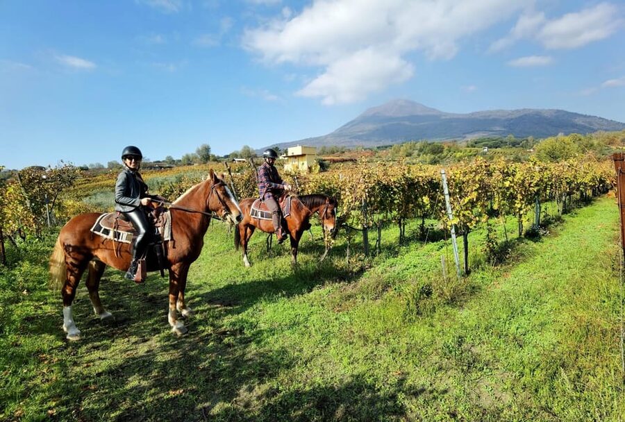 Horse Riding Experience on Vesuvius w/ Wine Tasting - Meeting the horses near Mount Vesuvius