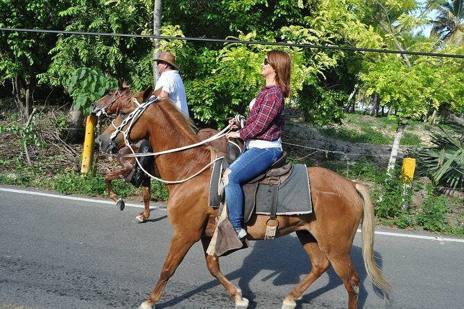 Horse Riding Experience through El Limon Beach - Cattle farms and wetlands along the way
