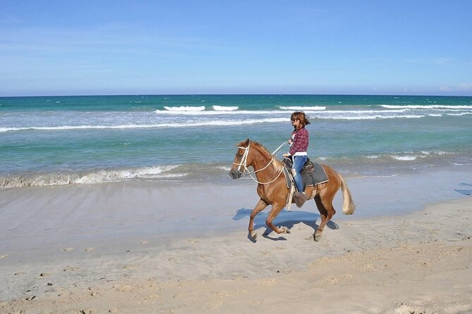 Horse Riding Experience through El Limon Beach - Pickup, timing, and what to confirm