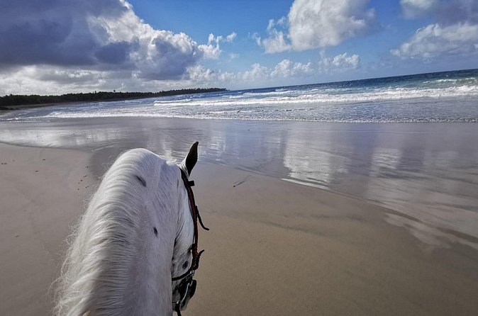 Horse Riding Experience through El Limon Beach - Who will enjoy this ride most