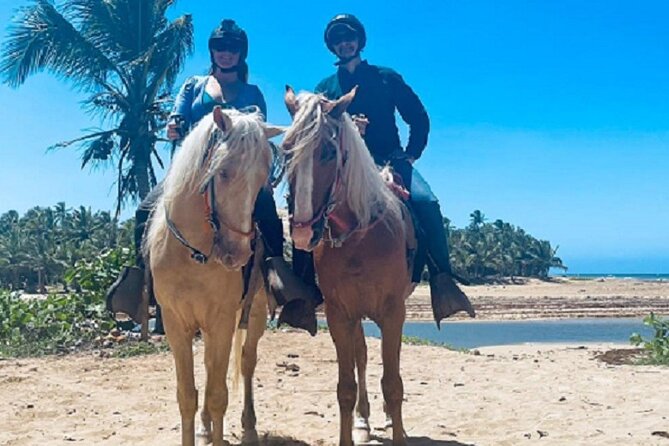 Horse Riding Experience through El Limon Beach - Meeting guide Arturo and choosing the right pace