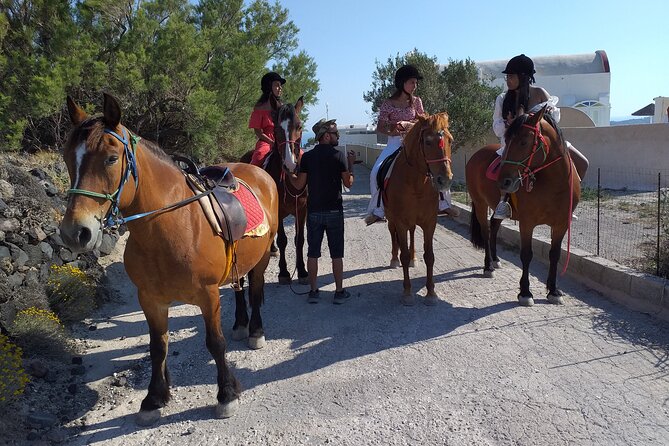 Horse Riding: Explore Secret Thera - The caldera overlook and the best photographs