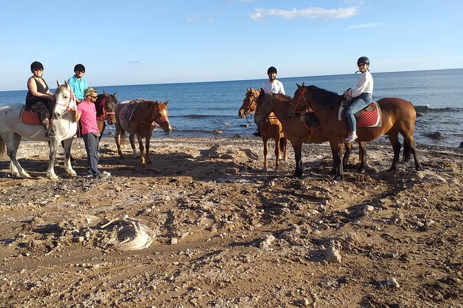Horse Riding: Explore Secret Thera - Who will enjoy this ride most?