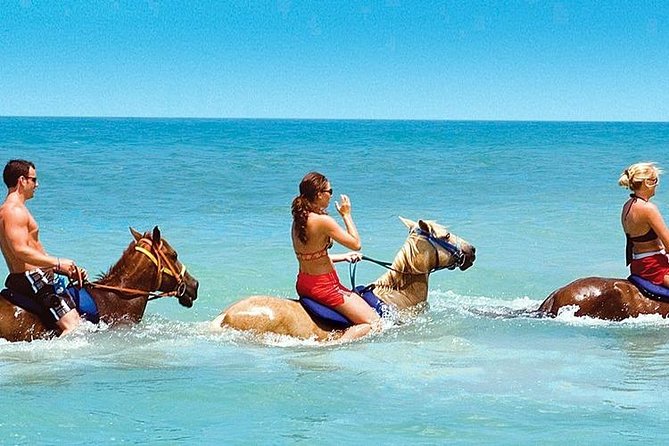 Horse Riding From Kusadasi Port / Hotels - Key points to know before booking