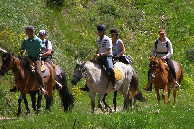 Horse Riding From Kusadasi Port / Hotels - Riding through the trees and brush