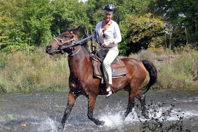 Horse Riding From Kusadasi Port / Hotels - Galloping, swimming, and the horse-in-water question