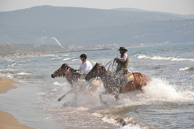 Horse Riding From Kusadasi Port / Hotels - Reaching Pamucak Beach