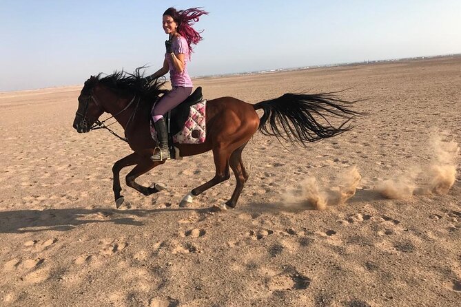 Horse Riding in Amazing Dessert With Transfer - Marsa Alam - Meeting the horses and preparing to ride