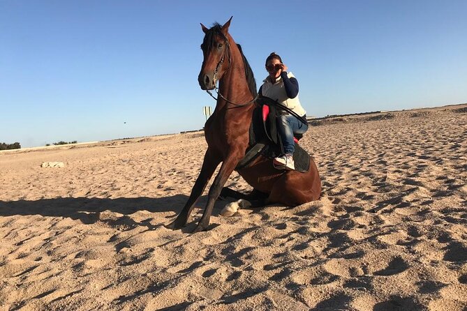 Horse Riding in Amazing Dessert With Transfer - Marsa Alam - The riding itself: what you can reasonably expect
