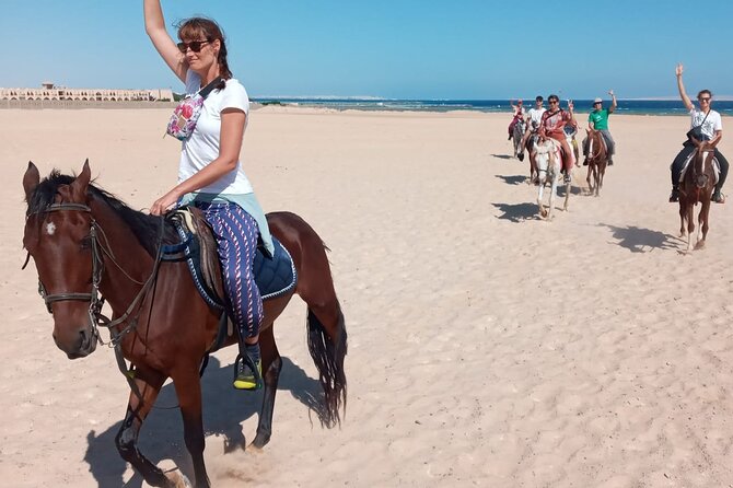 Horse Riding in Amazing Dessert With Transfer - Marsa Alam - Hotel pickup makes this easy from Marsa Alam