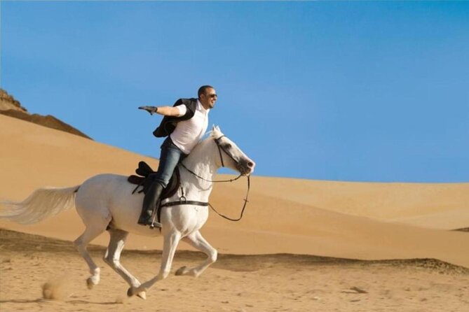 Horse Riding in Amazing Dessert With Transfer - Marsa Alam - Who will enjoy this outing most