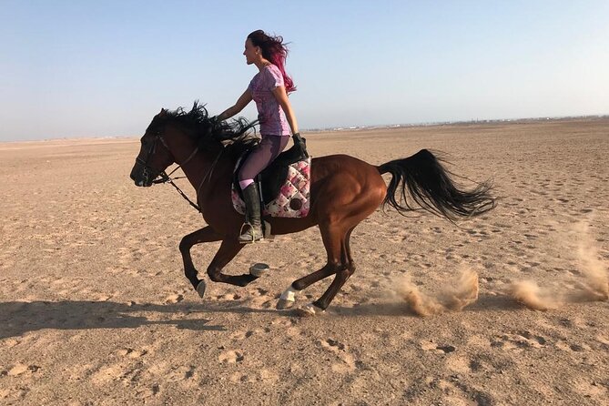 Horse Riding in Amazing Dessert With Transfer - Marsa Alam - What the three-hour schedule really means
