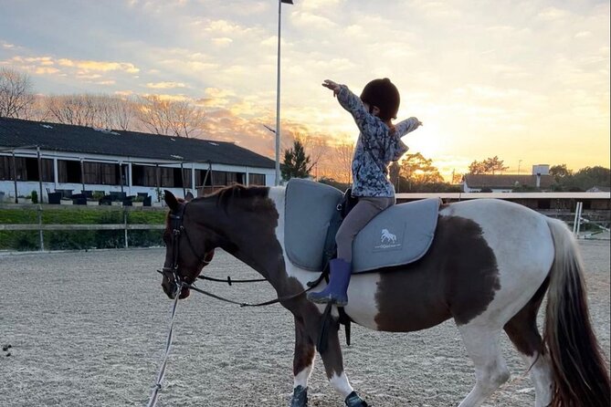 Horse Riding in Aveiro - Ílhavo - A first ride in the Portuguese countryside
