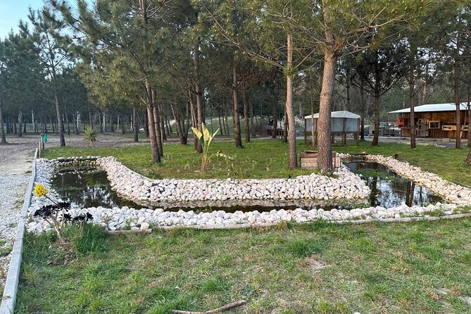 Horse Riding in Aveiro - Ílhavo - Is $29.09 a fair price?