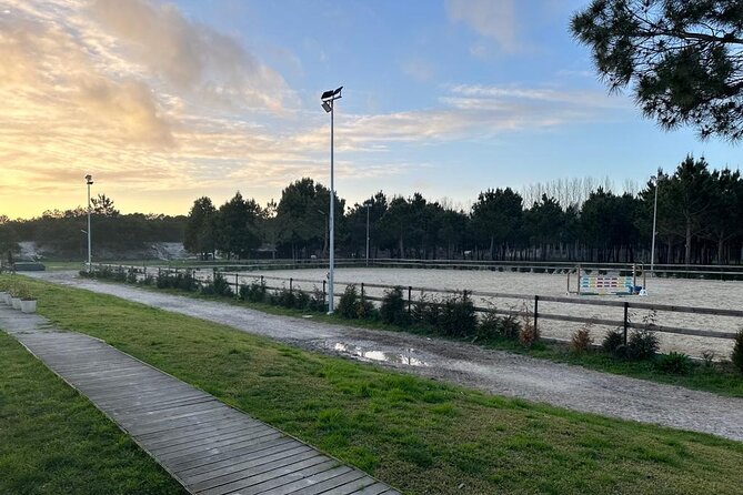 Horse Riding in Aveiro - Ílhavo - Meeting the horse and getting settled