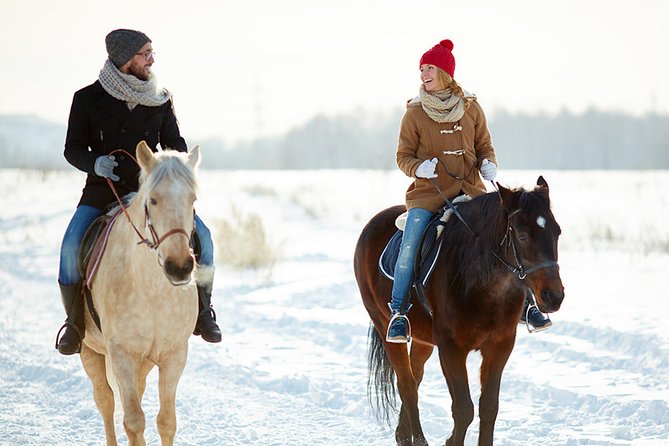 Horse Riding in Bled - The arena test sets the pace