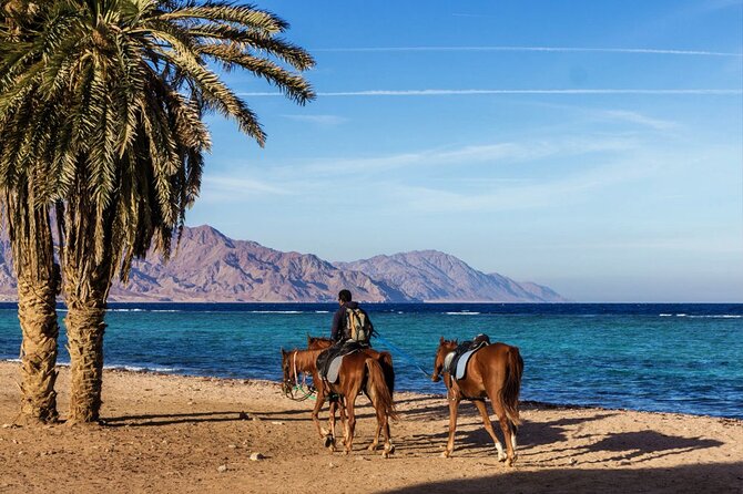Horse Riding in Dahab - Choosing your Dahab horse-riding route