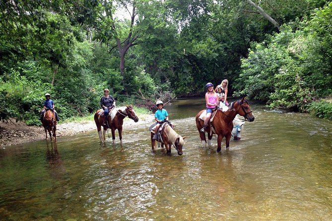 Horse Riding in Fethiye - Is $59 a fair price?