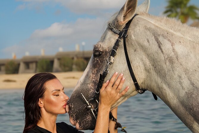 Horse Riding in Khobar - What the short riding session is really like