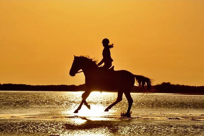 Horse Riding in Manavgat Side Forest and Beach - A forest ride with a beach option