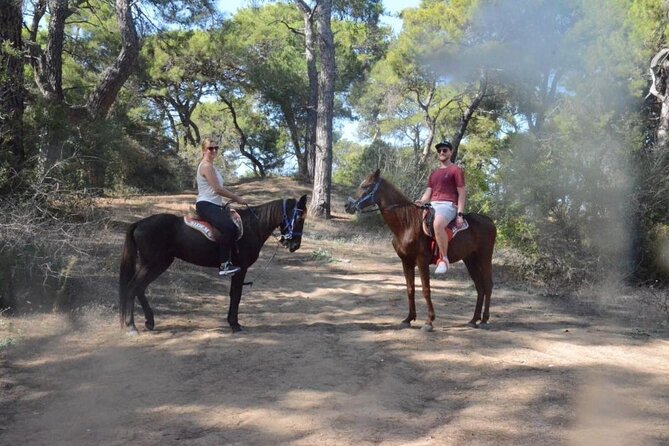 Horse Riding in Manavgat Side Forest and Beach - What the 90-minute schedule really includes