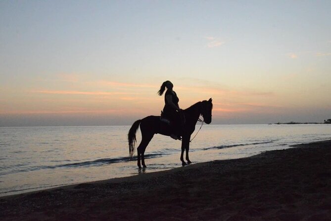 Horse Riding in Manavgat Side Forest and Beach - How the listed Side and Manavgat stops fit in