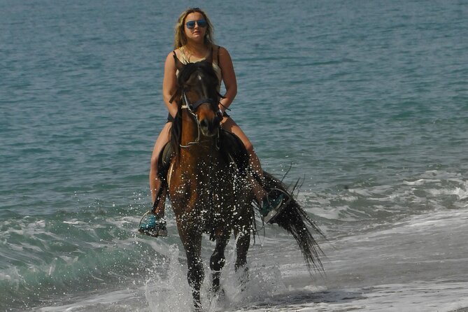 Horse Riding in Manavgat Side Forest and Beach - Is $56.72 a fair price?