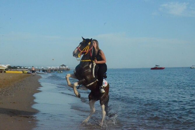 Horse Riding in Manavgat Side Forest and Beach - Meeting the horses and getting started