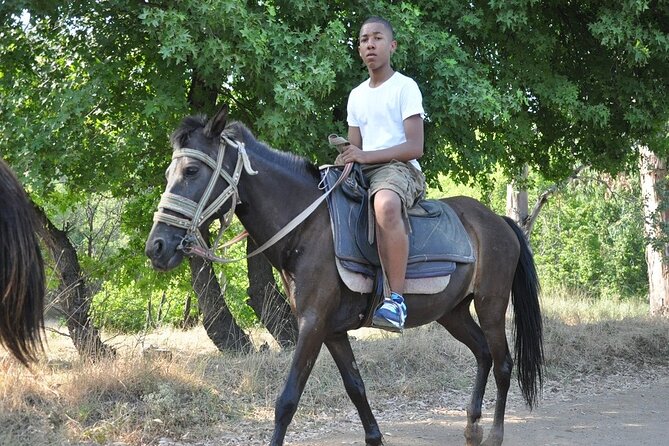 Horse Riding in Marmaris & Icmeler - Gentle horses, local help, and safety