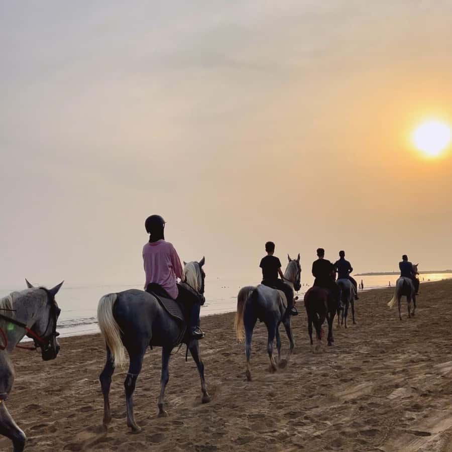 Horse riding in muscat beach - Key points at a glance