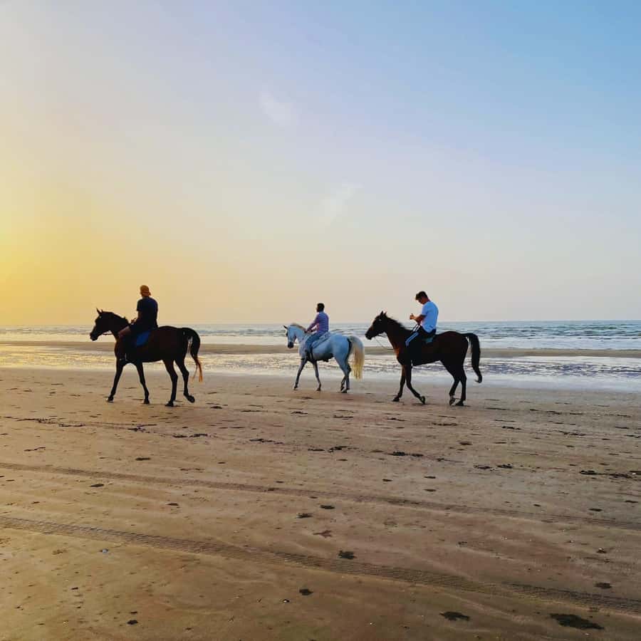 Horse riding in muscat beach - Riding Arabian horses beside Muscat’s sea